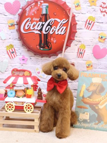 20230912モコちゃん